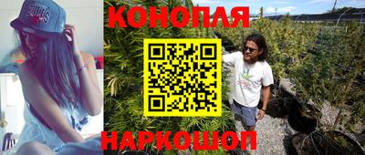 a pvp Новодвинск