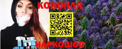 a pvp Новодвинск