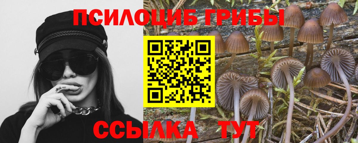 Галлюциногенные грибы ЛСД  Галлюциногенные грибы Psilocybine cubensis  Строитель  Вход с VPN 